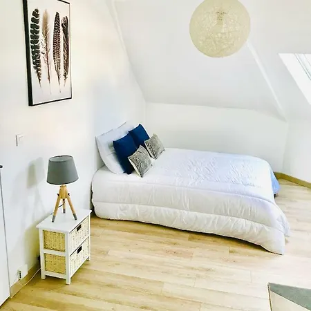 Appartement Cocooning Lumineux - Gare & Centre - Wifi Le Mans